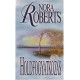 Nora Roberts: Holdfogyatkozás