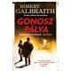 Robert Galbraith: Gonosz pálya - Cormoran Strike–regény